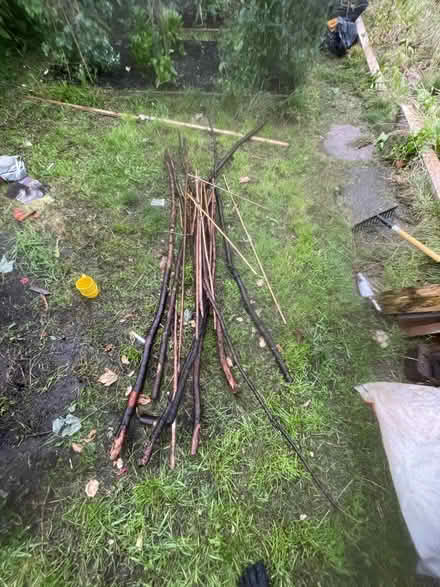 Photo of free Garden support sticks (S11) #1