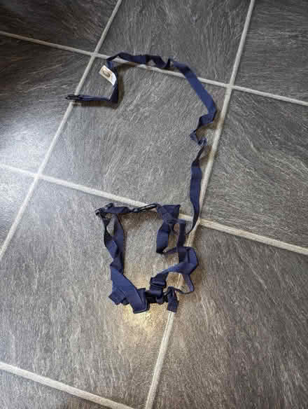 Photo of free Toddler harness (Harmans Water RG12) #2