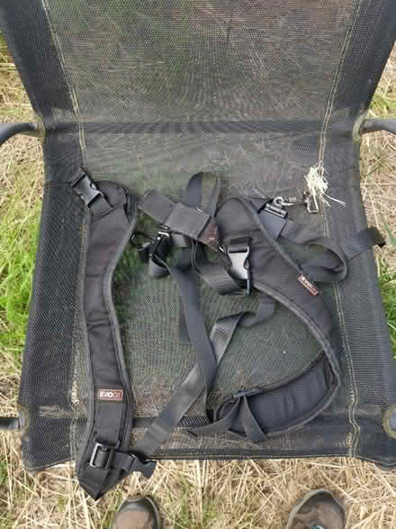 Photo of free Camera Harness (Earlham NR5) #1