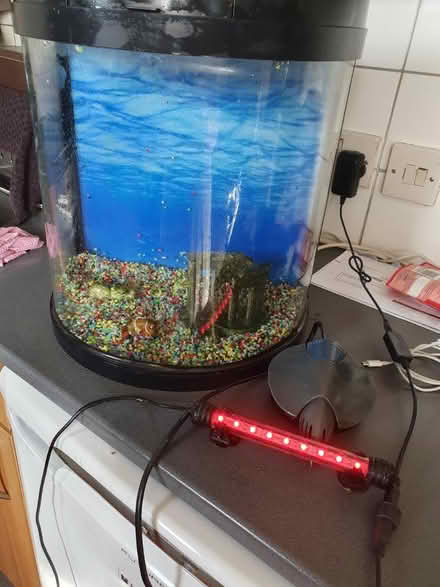 Photo of free Fish tank and accessories (St helens) #1