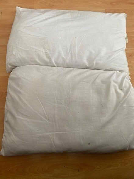 Photo of free Pillows (Harlesden NW10) #1