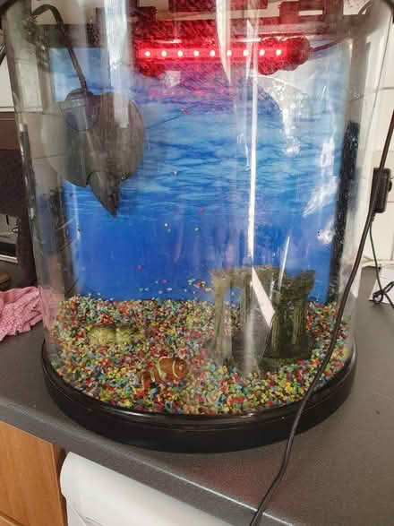 Photo of free Fish tank and accessories (St helens) #3