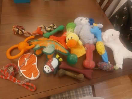 Photo of free Dog toys (some damaged) (Wolverhampton WV3) #1