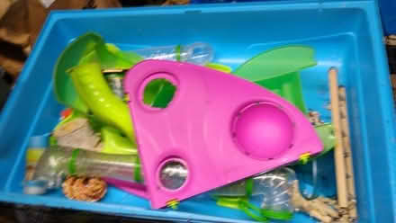 Photo of free Hamster cages and bits (Hemyock EX15) #4