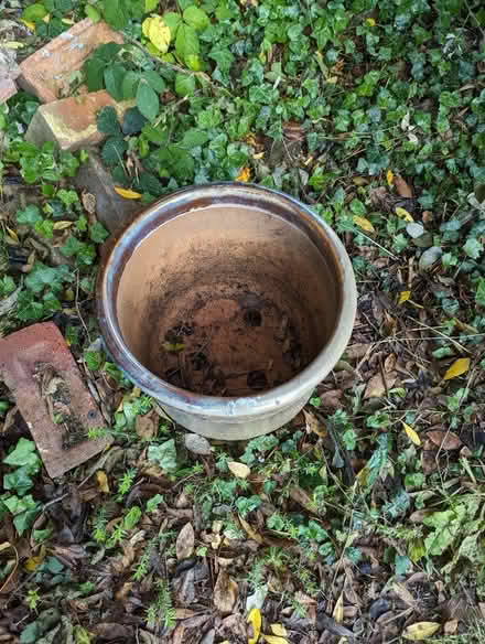 Photo of free Ceramic Garden Pot (RH12) #2