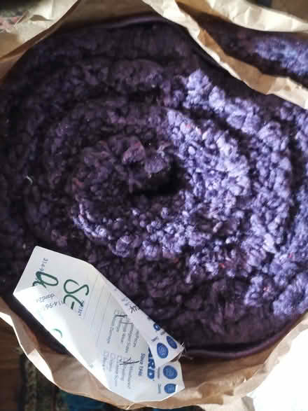 Photo of free Purple Runner (McKnight Rd and Manchester Rd) #1