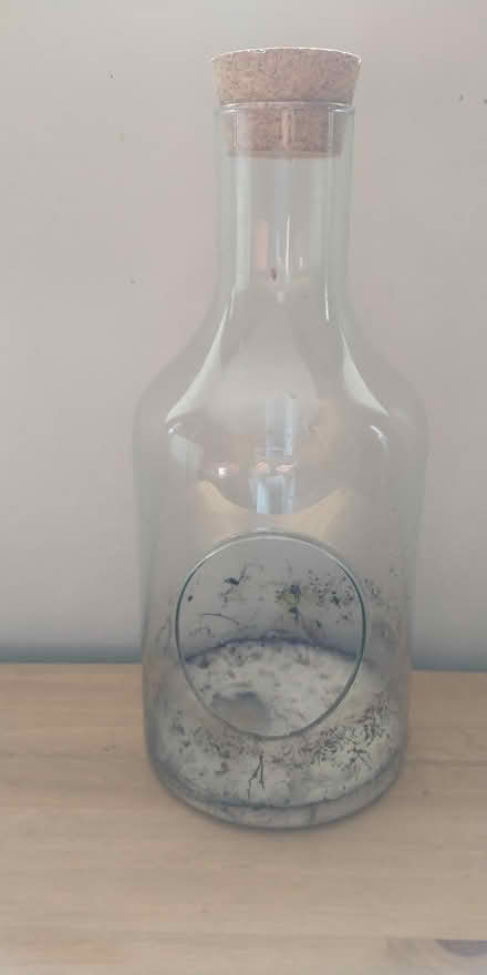Photo of free Bottle for bottle garden. (Summerlands LA8) #1