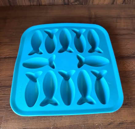Photo of free Ice tray (?) (cupertino near library) #1