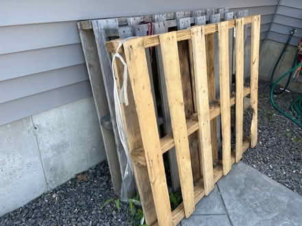 Photo of free Pallets (Berwick) #3