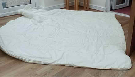 Photo of free Double duvet suitable for dog bedding (CT6) #1