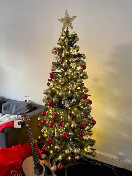 Photo of free Full fitted Christmas tree (Clapham south) #1