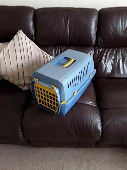 Photo of free Cat carrier (Gidea Park RM2) #1