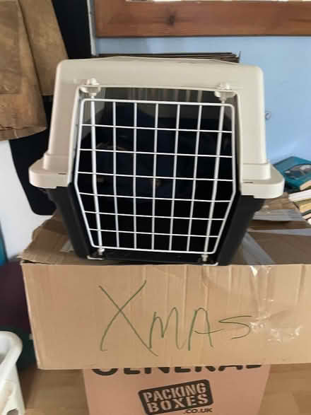 Photo of free Animal Carrier (Purbeck District BH19) #1