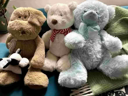 Photo of free soft toys, good condition (Sciennes EH9) #1