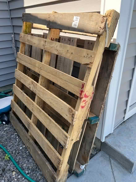 Photo of free Pallets (Berwick) #4