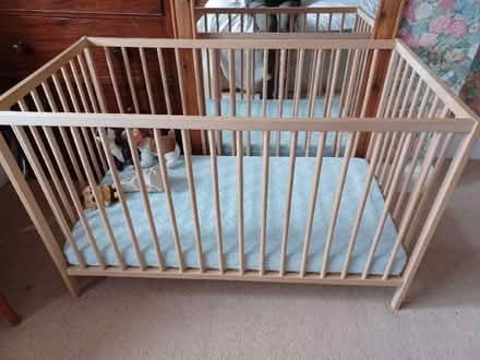 Photo of free Wodden Cot with mattress (Pittville GL52) #1