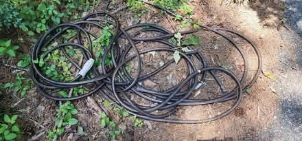Photo of free Yard hose, has gash 50 or 100 ft (Killearn Lakes Bradfordville) #1