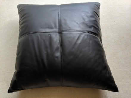 Photo of free Large Cushion (TW1 Twickenham) #1