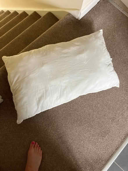 Photo of free IKEA pillow (TQ5) #1