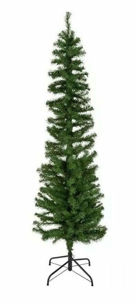 Photo of free 6ft Pencil Christmas Tree (Lower Bevendean BN2) #2