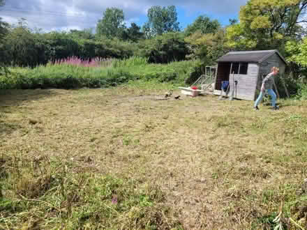 Photo of Allotment (Durham) #4