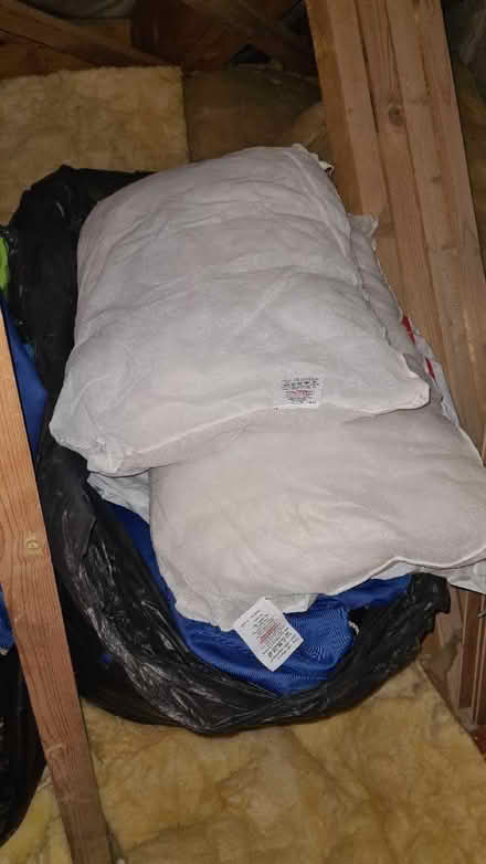 Photo of free Pillows - new (Chellaston DE73) #1