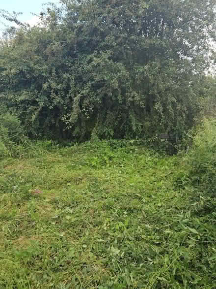 Photo of Allotment (Durham) #1