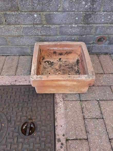 Photo of free Square plant pot (Croham CR2) #1