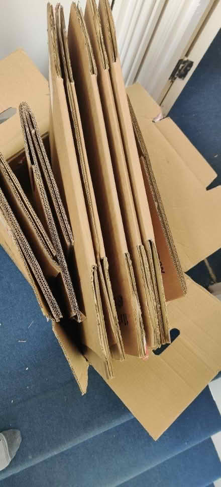Photo of free 10 cardboard boxes for moving (BR1) #1