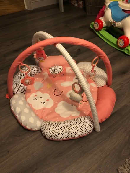 Photo of free Baby play mat (Horsham) #1