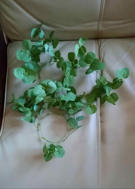 Photo of free For Crafting - Artifical Eucalyptus (Newtown SY16) #1