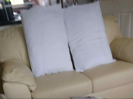Photo of free Hollow fiber Pillows - as new (Newtown SY16) #1
