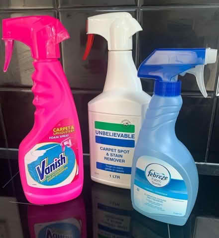 Photo of free Carpet and Upholstery cleaner (Great Sankey WA5) #1