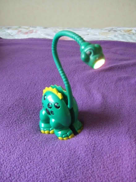 Photo of free Dinosaur light for child (Barnard's Green WR14) #2