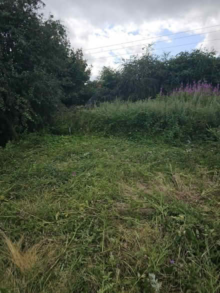 Photo of Allotment (Durham) #2