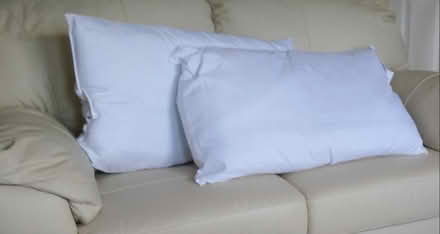 Photo of free Hollow fiber Pillows - as new (Newtown SY16) #2
