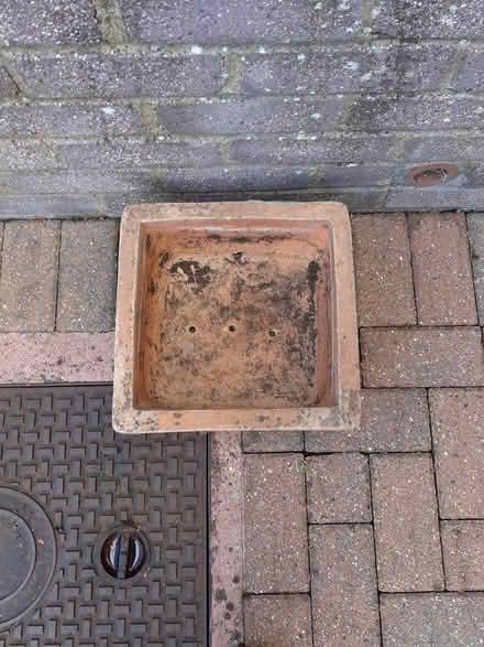 Photo of free Square plant pot (Croham CR2) #2