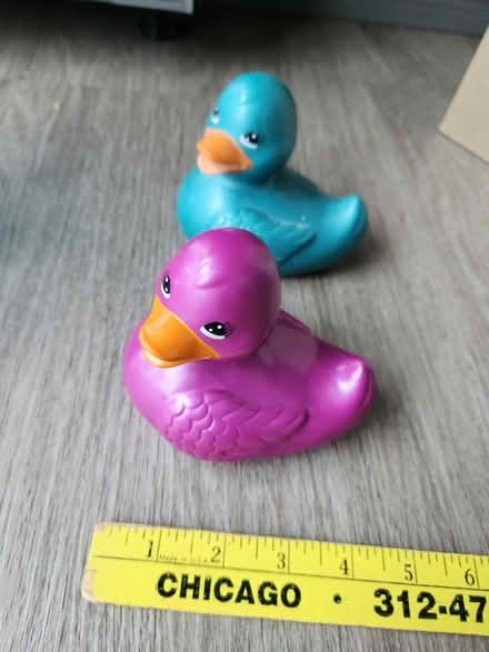 Photo of free plastic totes/ bins & rubber ducks (Andersonville) #1