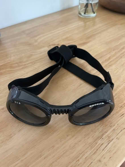 Photo of free Doggles (ME14 (Detling)) #2