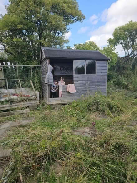 Photo of Allotment (Durham) #3