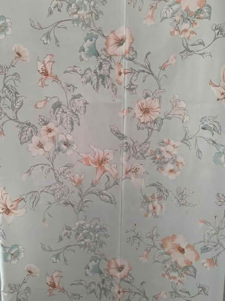 Photo of free Curtains (Greenstead CO4) #1