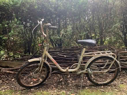 Photo of free Bike (Basildon (pitsea)) #2