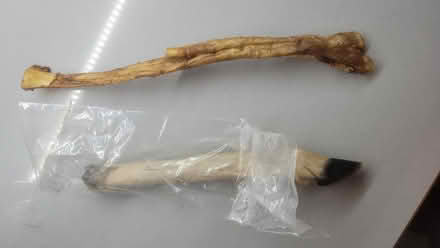 Photo of free Dog treats (St Annes FY8) #3