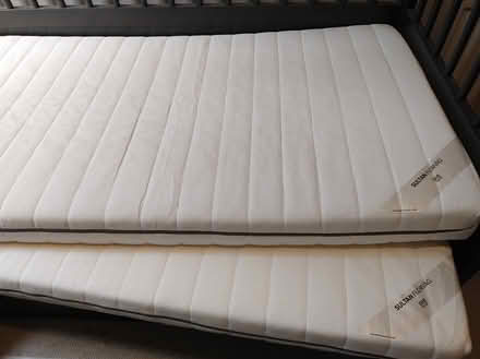 Photo of free IKEA Hemnes Day bed (Glasgow west end. Clouston St) #4