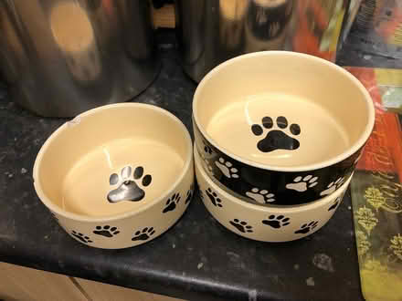 Photo of free Animal bowls (Chatham) #1