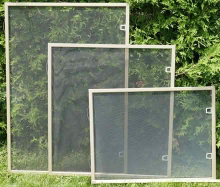 Photo of free window screens (Viewmount/Merivale area) #1