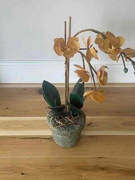 Photo of free Fake plant (Monkseaton NE25) #1