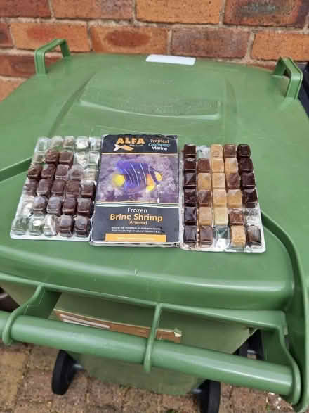 Photo of free Fish food (Upton CH2) #1