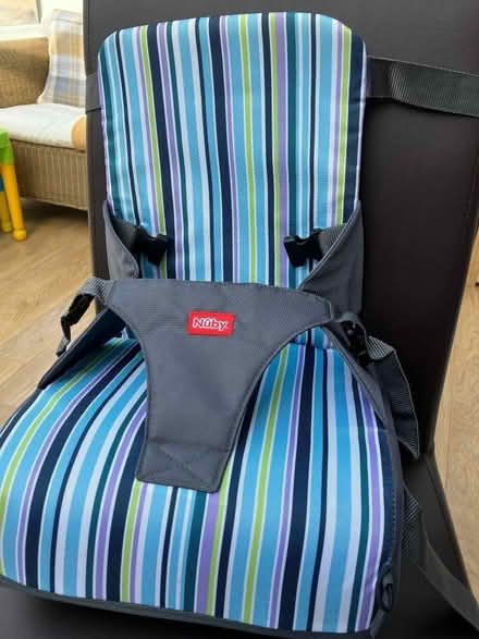 Photo of free Child booster seat for dining room chair (Wokingham RG40) #1