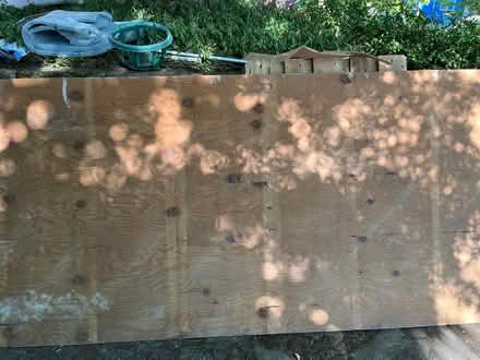 Photo of free 4’ x 8’ plywood (Maple Leaf) #1